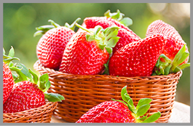 廠(chǎng)家介紹含氨基酸水溶肥到底有多牛？