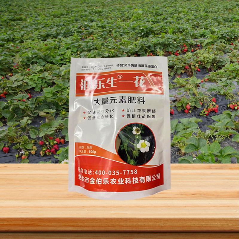 潤(rùn)樂(lè)生—花